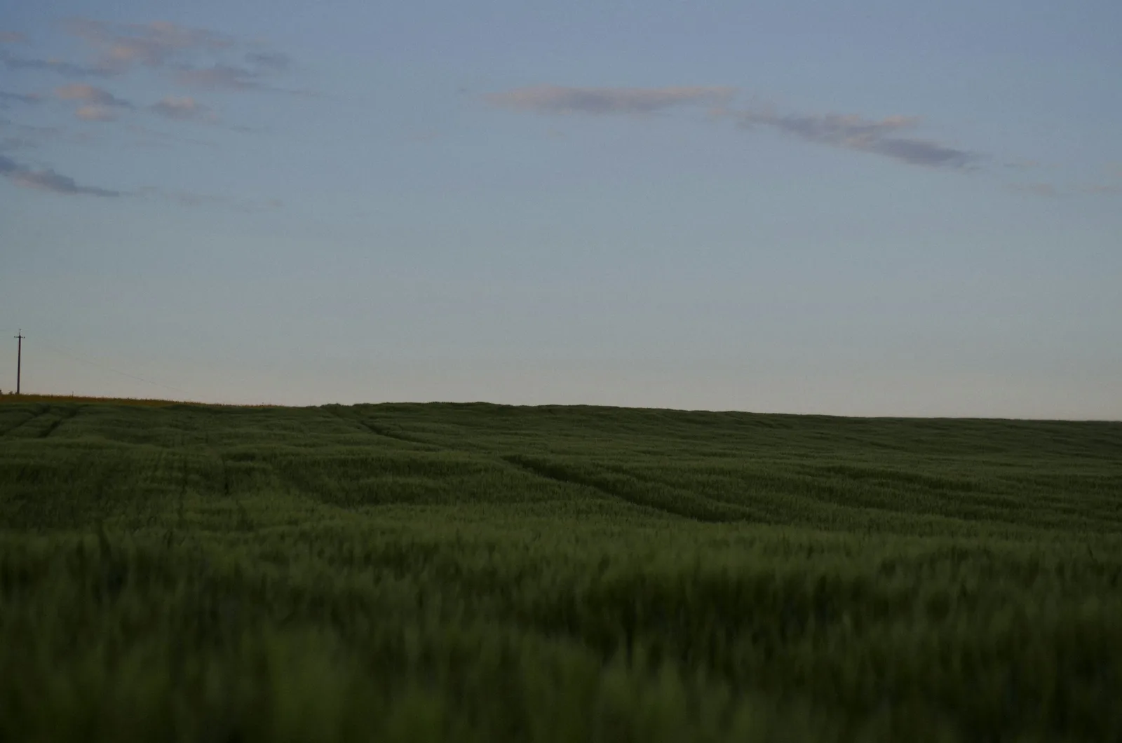 A wide open field rolling toward a distant horizon under an evening sky